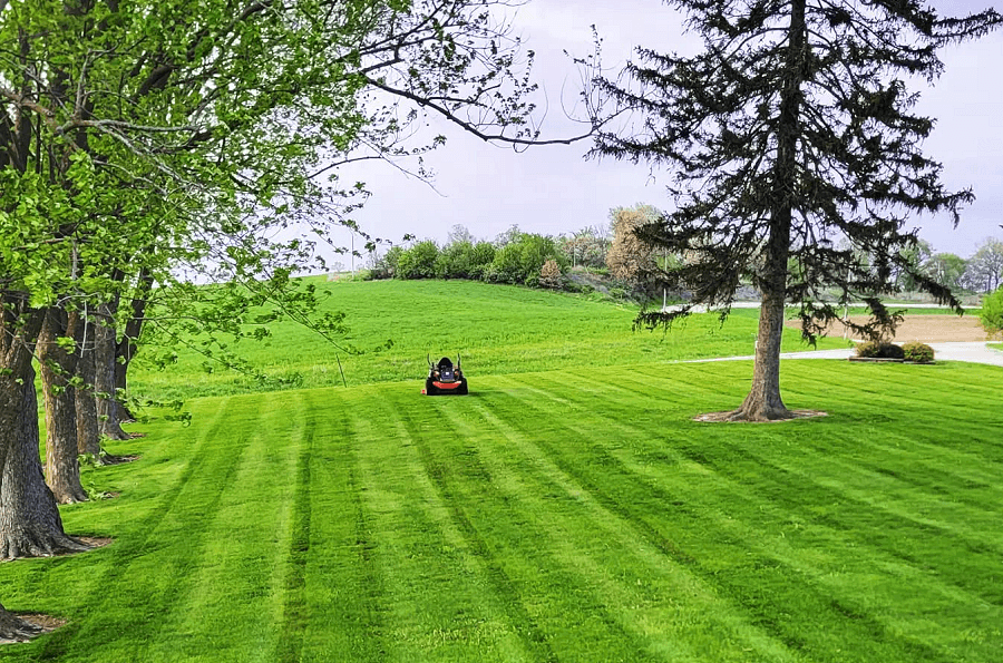 BF Lawn Care - Example Work 5