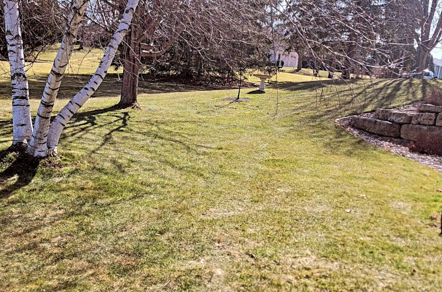 Spring and Fall Cleanups